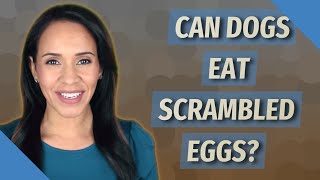 Can dogs eat scrambled eggs [upl. by Albin]