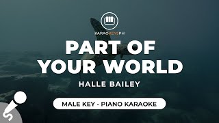 Part Of Your World  Halle Bailey Male Key  Piano Karaoke [upl. by Heyra37]