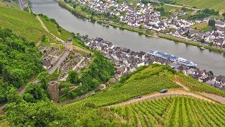 German Riesling Wine Journey [upl. by Ahras]