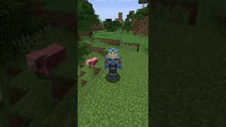 😎 MODS de TORTILLALAND Pt 1 🐱‍🚀 quotCarry Onquot shorts minecraft [upl. by Peednama]