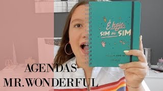 TUDO SOBRE A MINHA AGENDA MR WONDERFUL  BACK TO SCHOOL [upl. by Aziza]