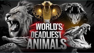 Worlds Deadliest Animals Survive the Wild  Ultimate Fact [upl. by Jorrie750]