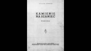 Kamienie na szaniec streszczenie szczegółowe lektury audiobook PL Aleksander Kamiński [upl. by Netram]