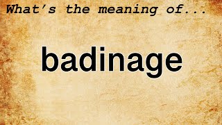 Badinage Meaning  Definition of Badinage [upl. by Eaj]