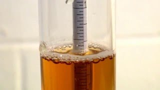 How to Use a Hydrometer for Homebrewing [upl. by Snowber]