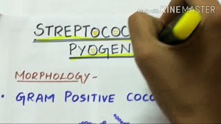 STREPTOCOCCUS PYOGENES  microbiology handwritten notes [upl. by Uehttam]