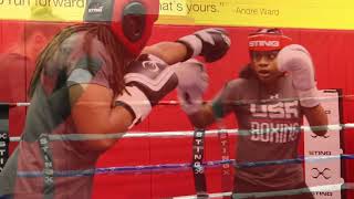 USA Boxing Multi Nation Camp [upl. by Attenrad]