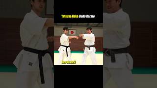 How to use your hips for highspeed hitting【Budo Karate】 [upl. by Rennug]