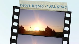 Enoturismo Uruguay  Documentário Completo [upl. by Derina176]