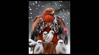 Heroic blue bird Rescue Chicks During Whiteout Snowstorm birds snow mother trendingsong [upl. by Stander]