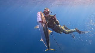 MY FAVOURITE SPEARFISHING EDIT IZS Ep38 [upl. by Nomae445]