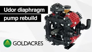 Udor diaphragm pump rebuild [upl. by Ybrad]