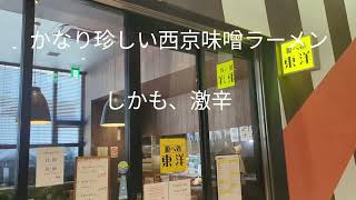 ＃岐阜市＃喰べ処東洋 パチンコ店にある？ 激辛西京味噌ラーメンがうまかった（笑） [upl. by Akihsay991]