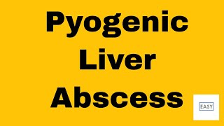 HEPATIC DISORDERS LIVER DISEASES 15 Pyogenic Liver Abscess [upl. by Nhguahs836]