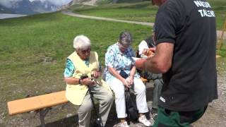 „ Obwaldner Bratkäse “  vom „ Bord Walti “  am Ufer des Tannalpsee’s  00012 [upl. by Assirahc]