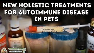 The Dewormer Ivermectin for Autoimmune Disease in Dogs and Cats [upl. by Kirsteni]