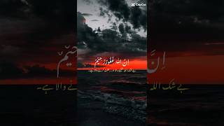 Quran Ayat lyrics youtubeshorts qurantranslation islamicscripture quranismylife islamictext [upl. by Celinda]