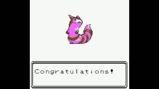 Shiny Sentret evolves into Furret  Pokémon Crystal [upl. by Sletten30]