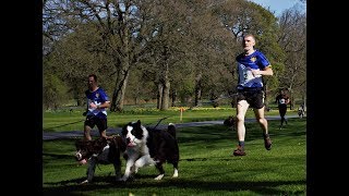 CaniX at Glamis Castle 2018 [upl. by Riek]