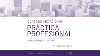 Curso de Iniciación en Práctica Profesional  CLASE 1 011024 [upl. by Eisso459]