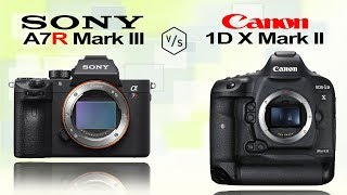 SONY Alpha A7R III vs Canon 1DX Mark II [upl. by Aisercal743]