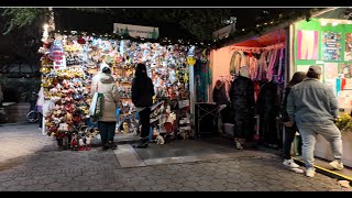 The Best Christmas Market in NYC Union Square Holiday Market 2023 [upl. by Lirva84]