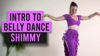 Intro to Belly Dance Shimmy Beginner Belly Dancing Tutorial [upl. by Heddy]