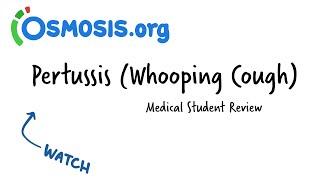 Pertussis Whooping Cough  Osmosis Study Video [upl. by Nnahoj749]