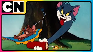 Tom amp Jerry 😺🐭 Pranks Galore with Tom amp Jerry 😝 Cat and mouse Cartoon  tomandjerry  cnindia [upl. by Idnil]