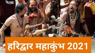 Haridwar Kumbh 2021 EP 03  हरिद्वार महाकुंभ 2021  Haridwar  Kumbh Mela 2021  Travel House [upl. by Ludwog463]