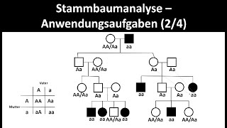 Stammbaumanalyse  Anwendungsaufgaben 24  Biologie Oberstufe [upl. by Radford]