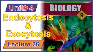 Endocytosis amp Exocytosis  Class 9 Biology  Lecture 26  IlmKaGhar [upl. by Aierbma]