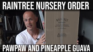 Raintree Nursery Unboxing Pennsylvania Golden Susquehanna Pawpaw and Pineapple Guava planting [upl. by Ynottirb839]