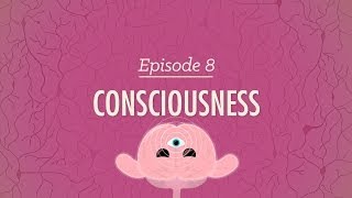 Consciousness Crash Course Psychology 8 [upl. by Gibbons408]