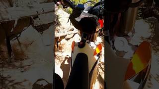 Local line singletrack dirtbike gopro enduro motorcycle twostroke hardenduro 2stroke ktm [upl. by Lauzon960]