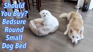 Should You Buy Bedsure Round Small Dog Bed [upl. by Peh44]