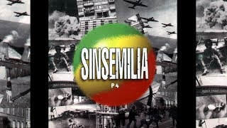 SINSEMILIA  P4  1ère Récolte [upl. by Warfield81]