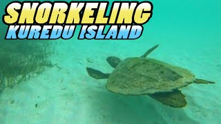 SNORKELING in Maldives  Kuredu Island Resort and Spa 4k [upl. by Sixele]