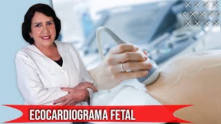 Ecocardiograma Fetal  EXAMES DE IMAGEM NA GESTAÇÃO [upl. by Cayser]