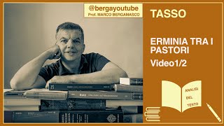 Tasso Erminia tra i pastori analisi Video 12 [upl. by Schatz]