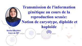 SVTBacBiofTransmission de linformation génétique Notion de caryotype diploïde et haploïde [upl. by Elle]