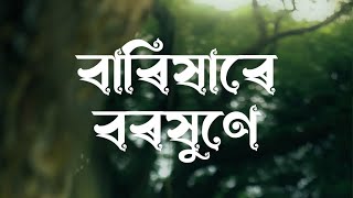 Brikhare borokhune  Dikshu  PRABAL PHUKAN  🎥 Hiranmay das [upl. by Modeste]