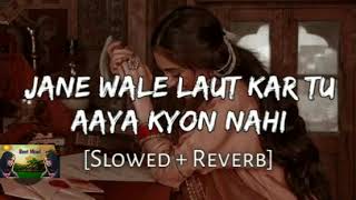 Jane Wale Laut kar tu aaya kyon nahi slowedreverb viralvideo ytshortsvideo music lofimusic [upl. by Kariv]