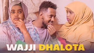 Faya Jiru  Wajji Dhalota  New movie Afaan Oromo  2024 [upl. by Barnabas647]