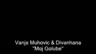 Vanja Muhovic amp Divanhana  Moj Golube [upl. by Ainak]