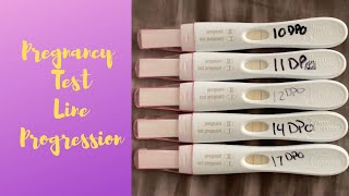 Pregnancy Test Progression  First Response [upl. by Celesta]