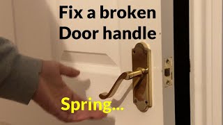 How to fix a Loose Door Handle  Replace broken spring [upl. by Arihat817]