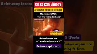 Human Reproduction Class 12th Biology chapter 3 neet  Cbse ncert Part 4 [upl. by Aruasi875]