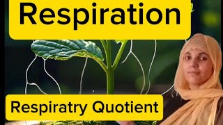 Plant PhysiologyL6RespirationRespiratry QuotientRQ valuesAll boardsNEETMDCAT [upl. by Hank]