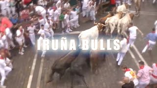 BALPORES  IRUÑA BULLS Official Music Video [upl. by Adelle920]